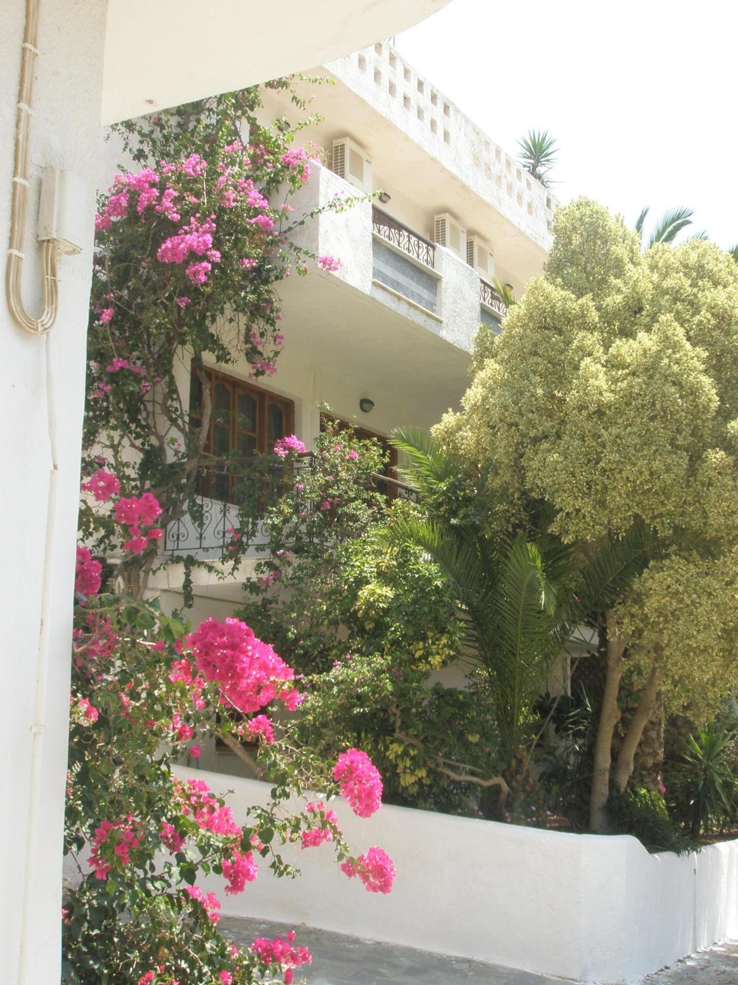 Ostria Hotel Agia Galini  Exterior photo